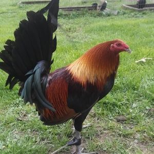 Meet your Posher, Ashlyn